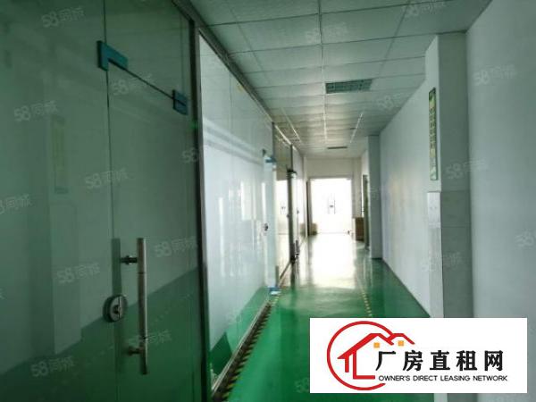  应人石外贸工业区新出原房东整层1290平，精装无转让费