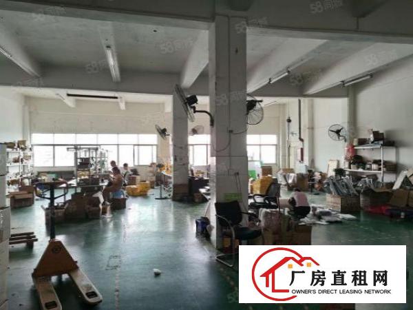  应人石外贸工业区新出原房东整层1290平，精装无转让费