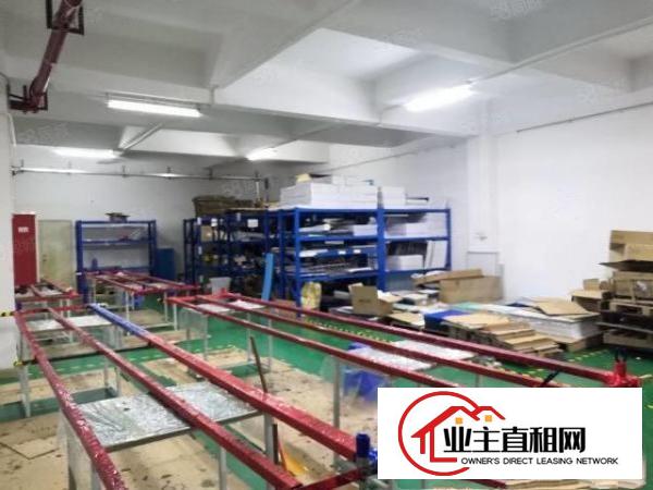  石岩外环路新出原房东楼上700平带装修无转让费厂房出租