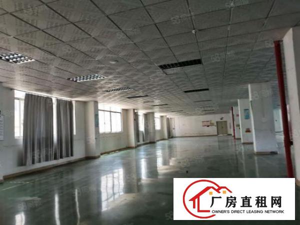  深圳宝安石岩石龙仔2楼1100平精装小厂房出租。