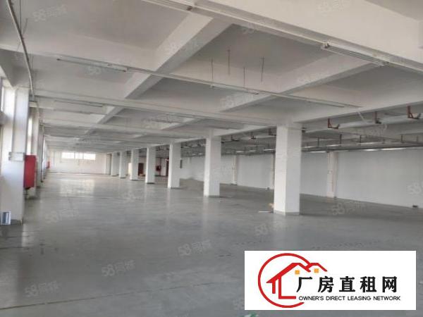  （物业直租）松白路旁，南岗第二工业园850，园区大形象佳