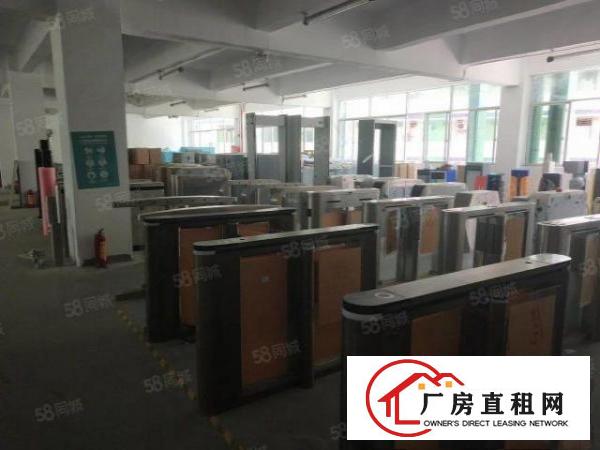  石岩石龙仔星光工业园870平米厂房出租原房东价格便宜