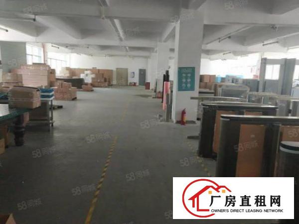  石岩石龙仔星光工业园870平米厂房出租原房东价格便宜