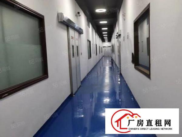  出租石岩塘头物流园楼上带豪华装修3900平