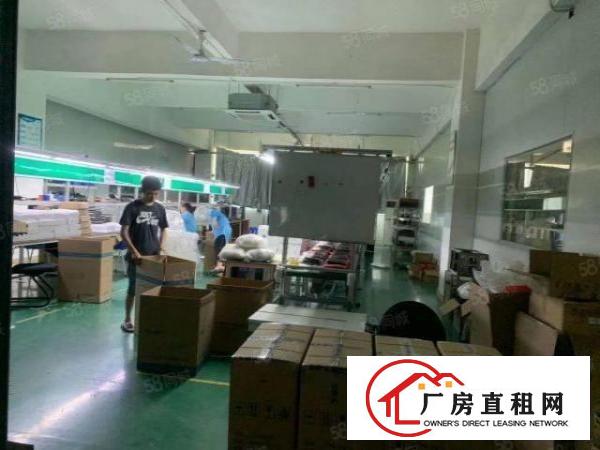  石岩村委新出楼上精装修厂房2000平厂房出租