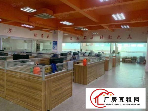  石岩村委新出楼上精装修厂房2000平厂房出租