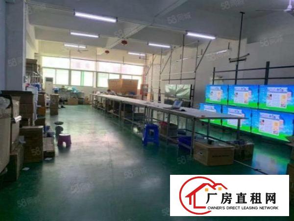  石岩村委新出楼上精装修厂房2000平厂房出租