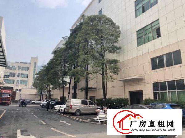  石岩镇新出楼上带精装修，无转让费2800平方厂房出租