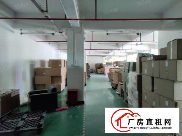  石岩原房东花园式厂房1000平业主直租