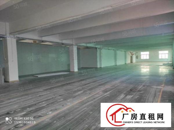  出租石岩料坑原房东精装修楼上1200平