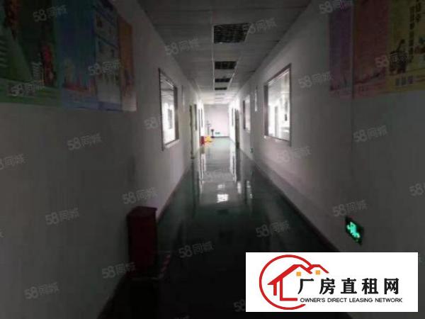  宝安区石岩应人石村委现成装修厂房800平方