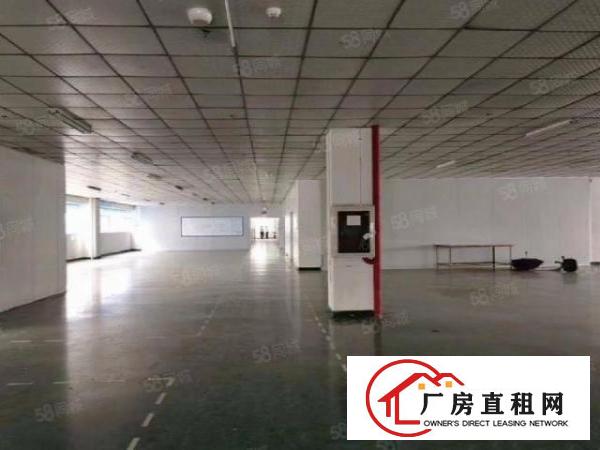  石岩松柏路边新空出整层2200平带装修业主招租