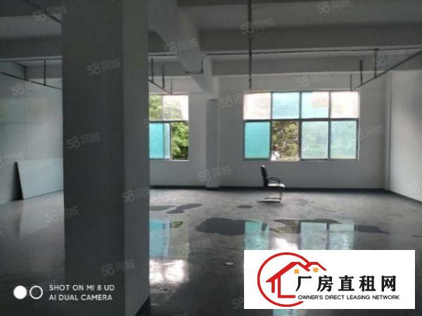  石岩园岭！！楼上精装200平。带办公室。