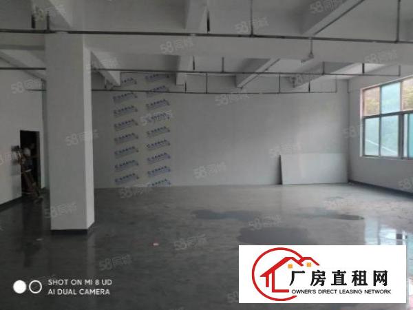  石岩园岭！！楼上精装200平。带办公室。
