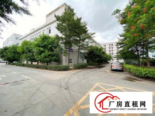  石岩北环楼上新出精装修厂房1900平米厂房租.