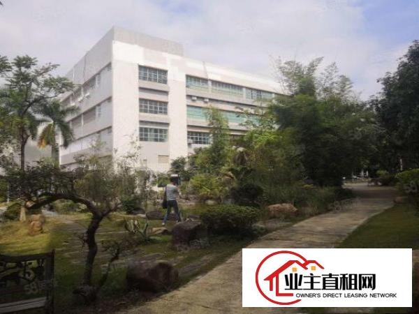  石岩石龙仔龙大高速出口原房东可办环评2600平米厂房出租
