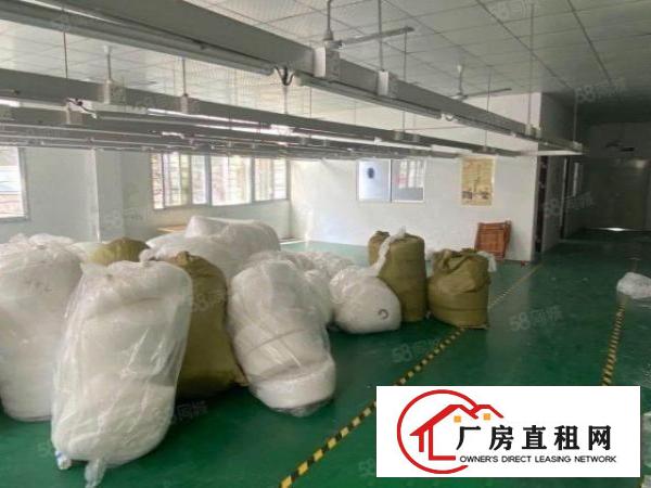  石岩北环新出450平，带无尘车间独门独院厂房