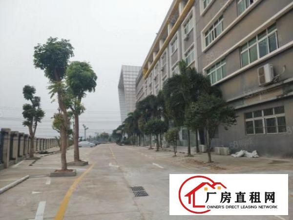  石岩龙大高速路口新出600平方带装修免费使用实用面积水电齐全