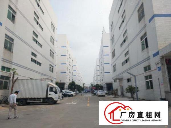  石岩龙大高速路口新出600平方带装修免费使用实用面积水电齐全