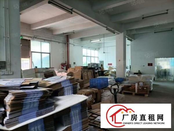  石岩青年路新出一个小面积房子装修，适合服装行业