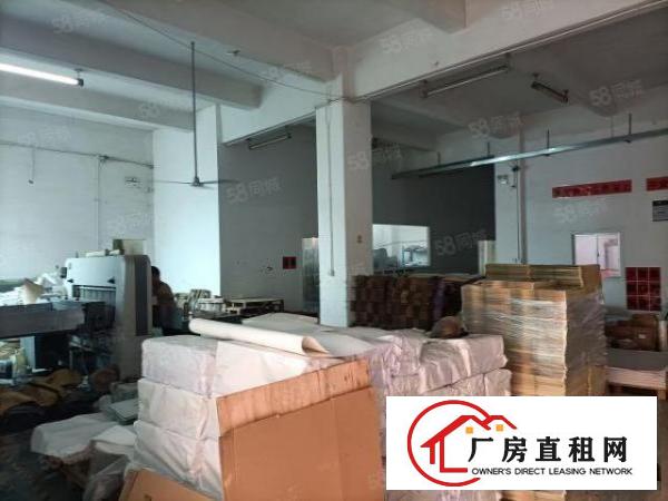  石岩青年路新出一个小面积房子装修，适合服装行业