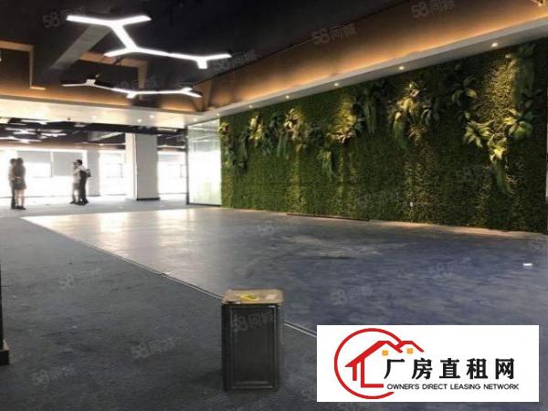  石岩原房东，带豪华装修1408平楼上，无转让费