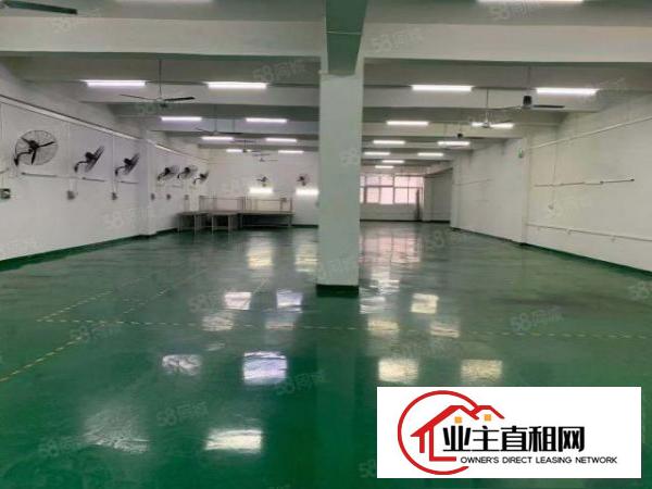  长城工业区原房东整层1000平米，精装修办公室，车间水电到位