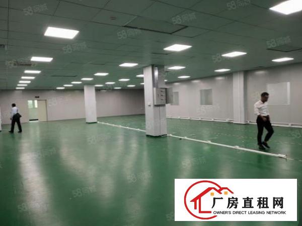  石岩塘头新出全新装修无尘车间1060平方厂房出租，水电齐全