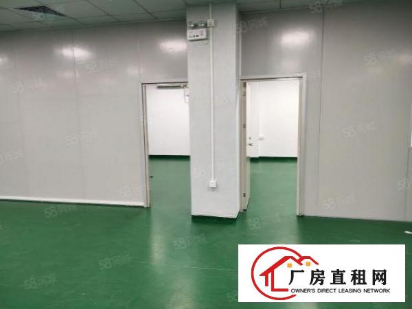  石岩塘头新出全新装修无尘车间1060平方厂房出租，水电齐全