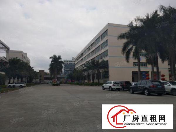  石岩北环新出带装修厂房550平方没有转让费21元业主直租