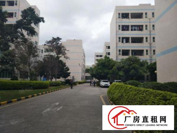  石岩北环新出带装修厂房550平方没有转让费21元业主直租