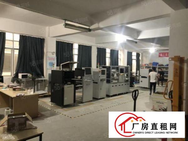  塘头第三工业区！长条小户型，实际200平。
