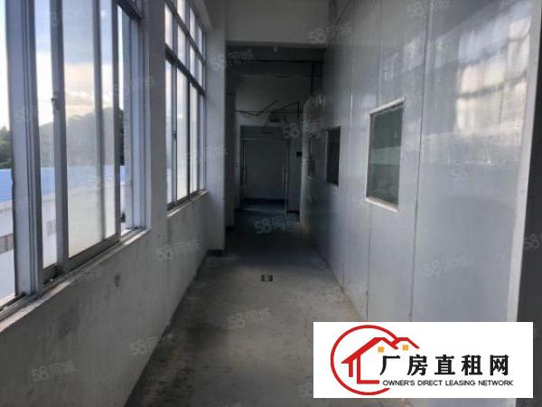  塘头第三工业区！长条小户型，实际200平。