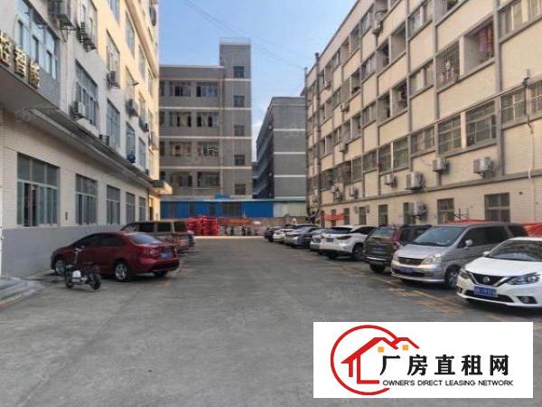  塘头第三工业区！长条小户型，实际200平。