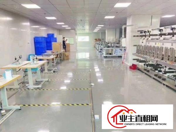  ！！原房东红本无公摊厂房楼上1382带装修出租