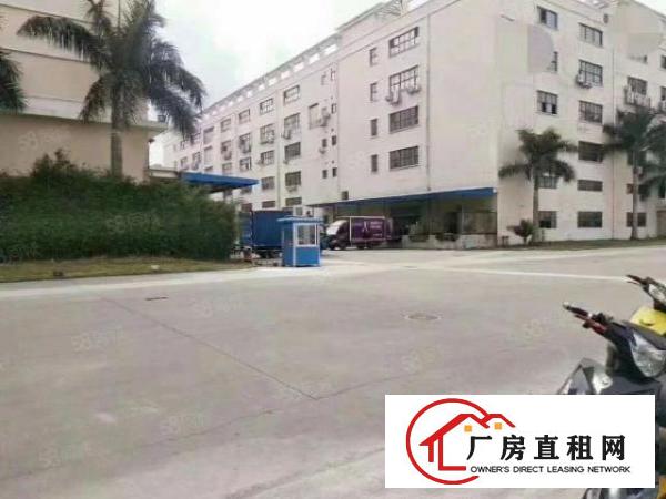  石岩罗租艾美特工业园旁600平米精装修，不要转让费