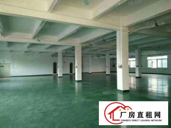  石岩罗租艾美特工业园旁600平米精装修，不要转让费
