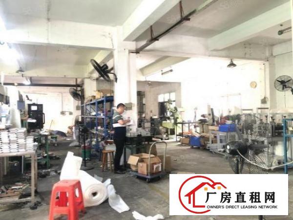  石岩宝石东路，原房东一楼480平，豪华装修，适合五金加工