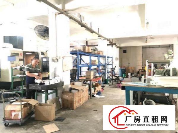  石岩宝石东路，原房东一楼480平，豪华装修，适合五金加工