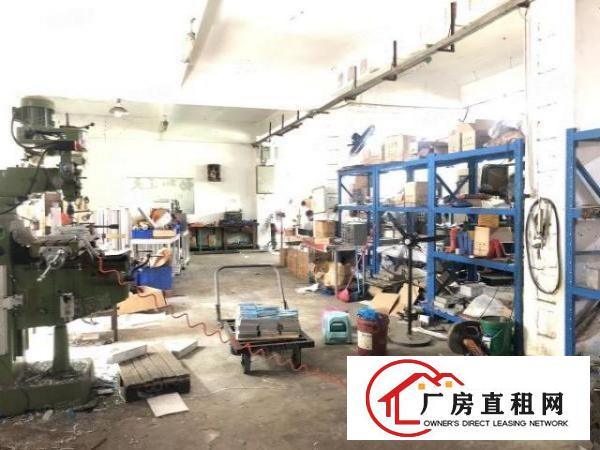  石岩宝石东路，原房东一楼480平，豪华装修，适合五金加工