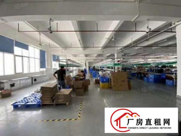  石岩厂房独院工业园精装厂房出租2万平分租300起一楼厂房仓库