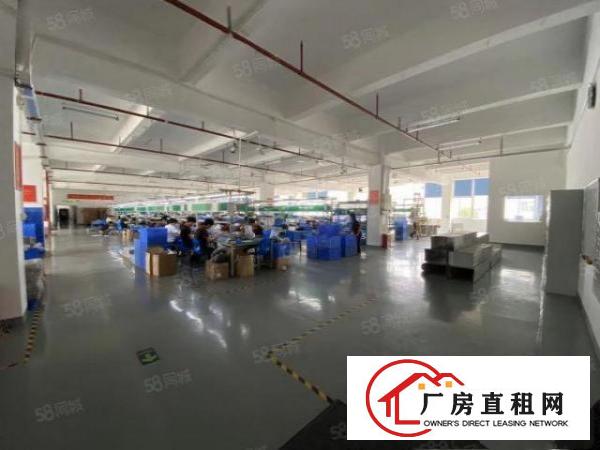  石岩厂房独院工业园精装厂房出租2万平分租300起一楼厂房仓库