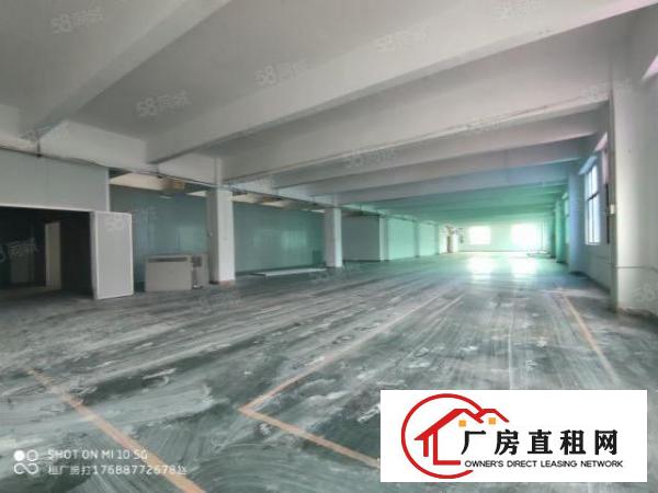  石岩南光高速旁原房东1200平整层招租