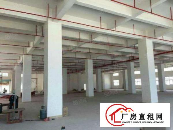  石岩龙大高速出口独院厂房3200平带喷淋出租