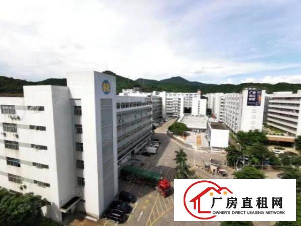  西丽白芒关口花园式园区楼上整层1500平方厂房出租，可分租