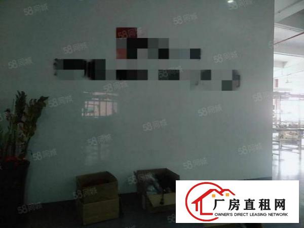  石岩北环楼上300平豪华装修，电子，小加工，贸易