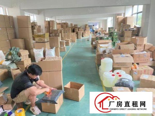  石岩500平超靓装修厂房出租