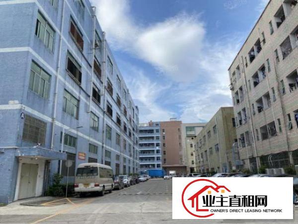  出租|石岩龙大高速口1382平方原房东红本厂房出租零公摊