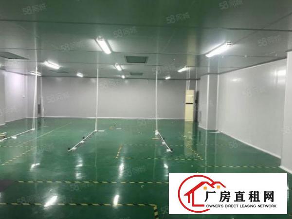  非中介，石岩料坑卓林工业园自建厂房带红本出租