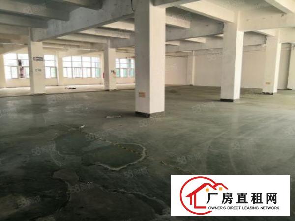  带货梯，6楼空置厂房